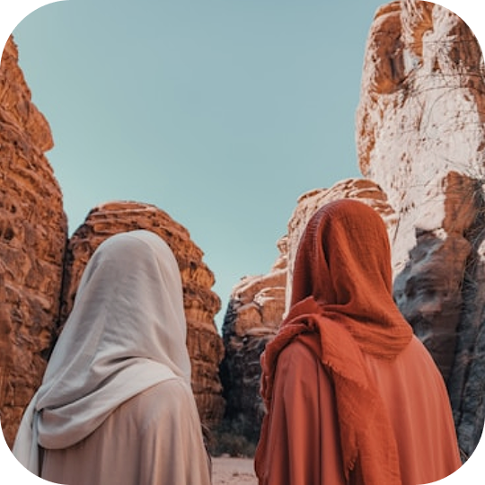 December Population Overview